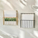 Wall-Mounted Iron File Holder — Single-Tier Magazine & Letter Rack (Gold or Black)