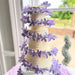 Foldable Acrylic Spiral Cake Stand – Reusable Tiered Display for Weddings & Birthdays