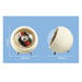 USB Motorised Watch Winder Box for Automatic Watches