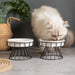 Elevated Ceramic Slow Feeder Bowl — Anti‑Choking Maze with Iron Stand