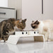 Elevated Pet Feeder with Double Stainless Steel Bowls – Cats & Dogs (Small–Large)