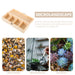 Four-Compartment Unfinished High-Grade Wood Tea & Keepsake Box
