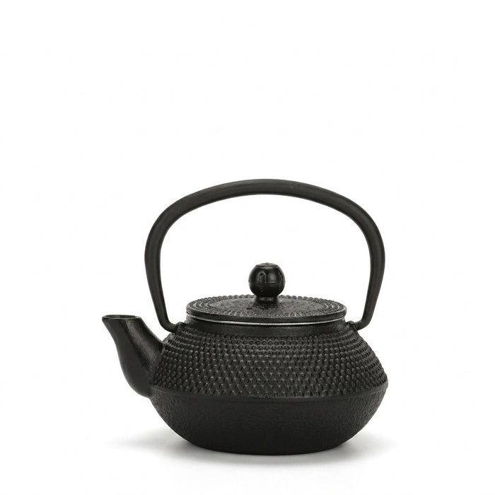 Cast Iron Teapot with Stainless Steel Mesh Filter — Induction Ready